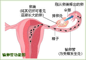 沈阳都市妇科医院如何治疗输卵管堵塞