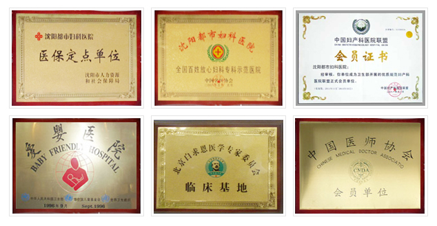 沈阳都市妇科医院荣誉